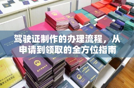 理塘驾驶证制作的办理流程，从申请到领取的全方位指南