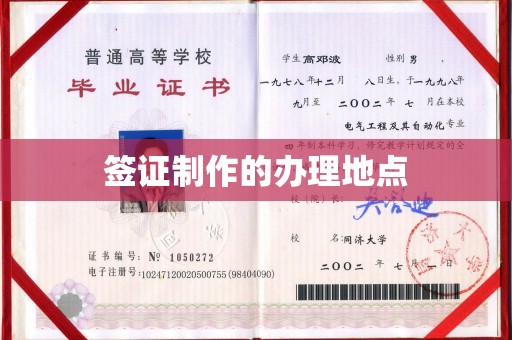 理塘签证制作的办理地点